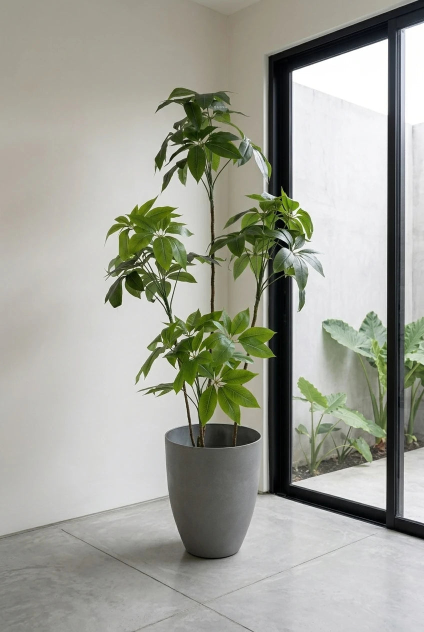 The Atelier Umbrella Tree - 6ft