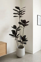 The Shadow Totem- 6.3ft