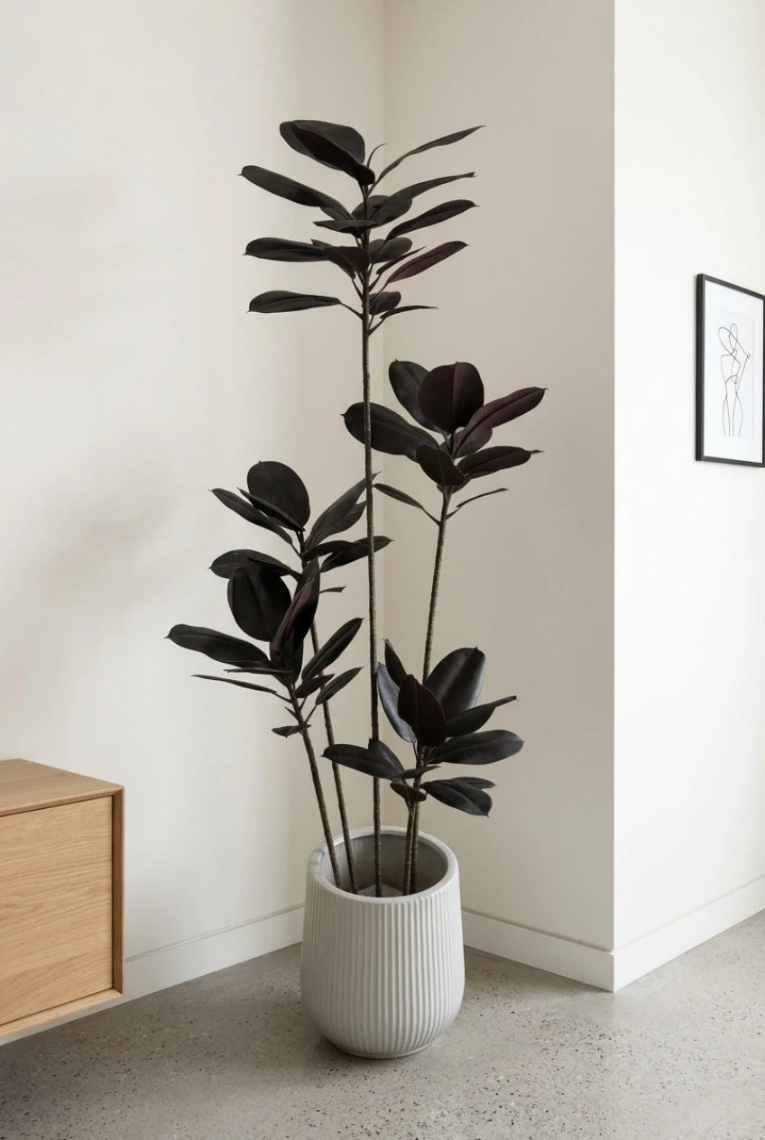 The Shadow Totem- 6.3ft