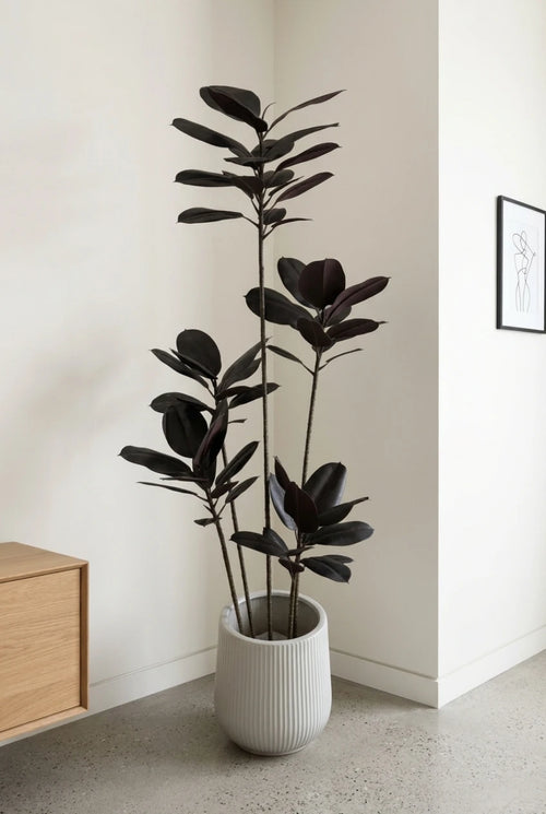 The Shadow Totem- 6.3ft