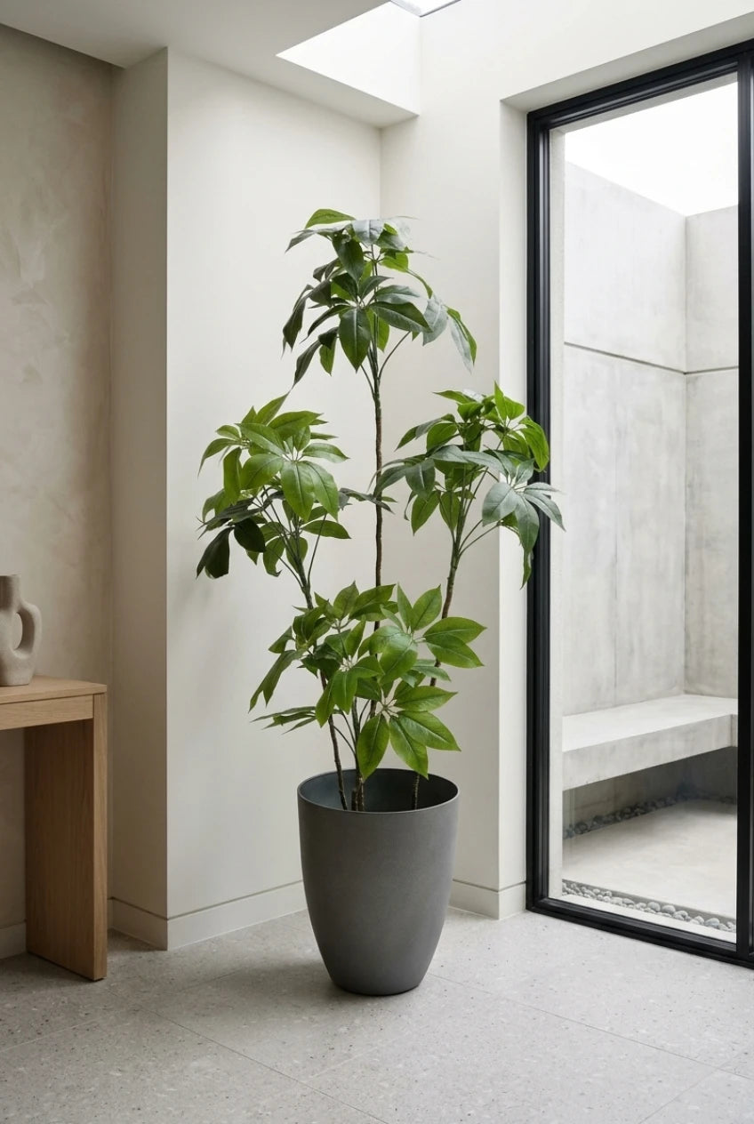 The Atelier Umbrella Tree - 6ft
