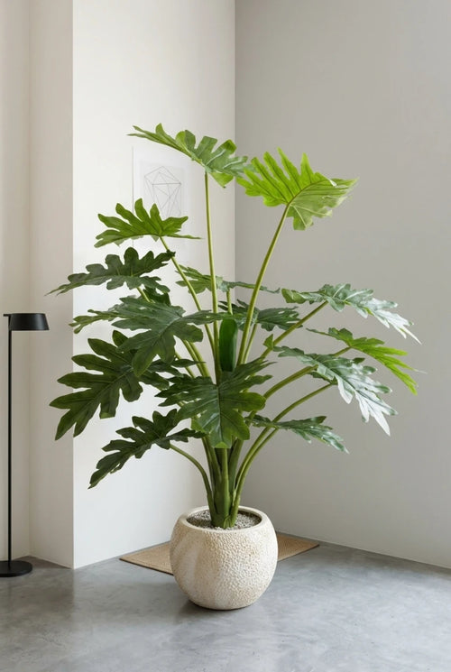 The Green Starburst  - 5ft