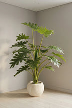 The Green Starburst  - 5ft
