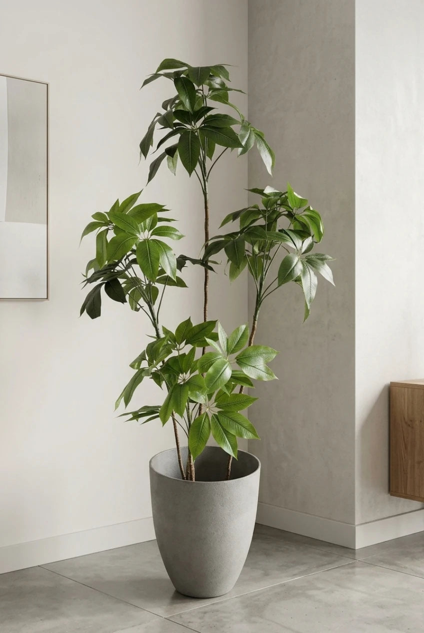 The Atelier Umbrella Tree - 6ft