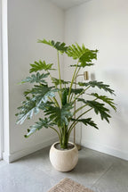 The Green Starburst  - 5ft