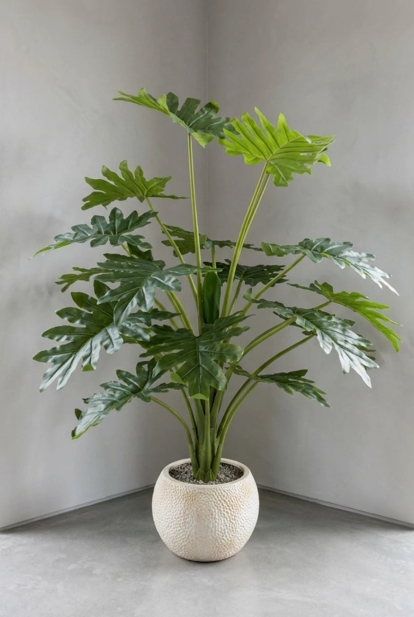 The Green Starburst  - 5ft