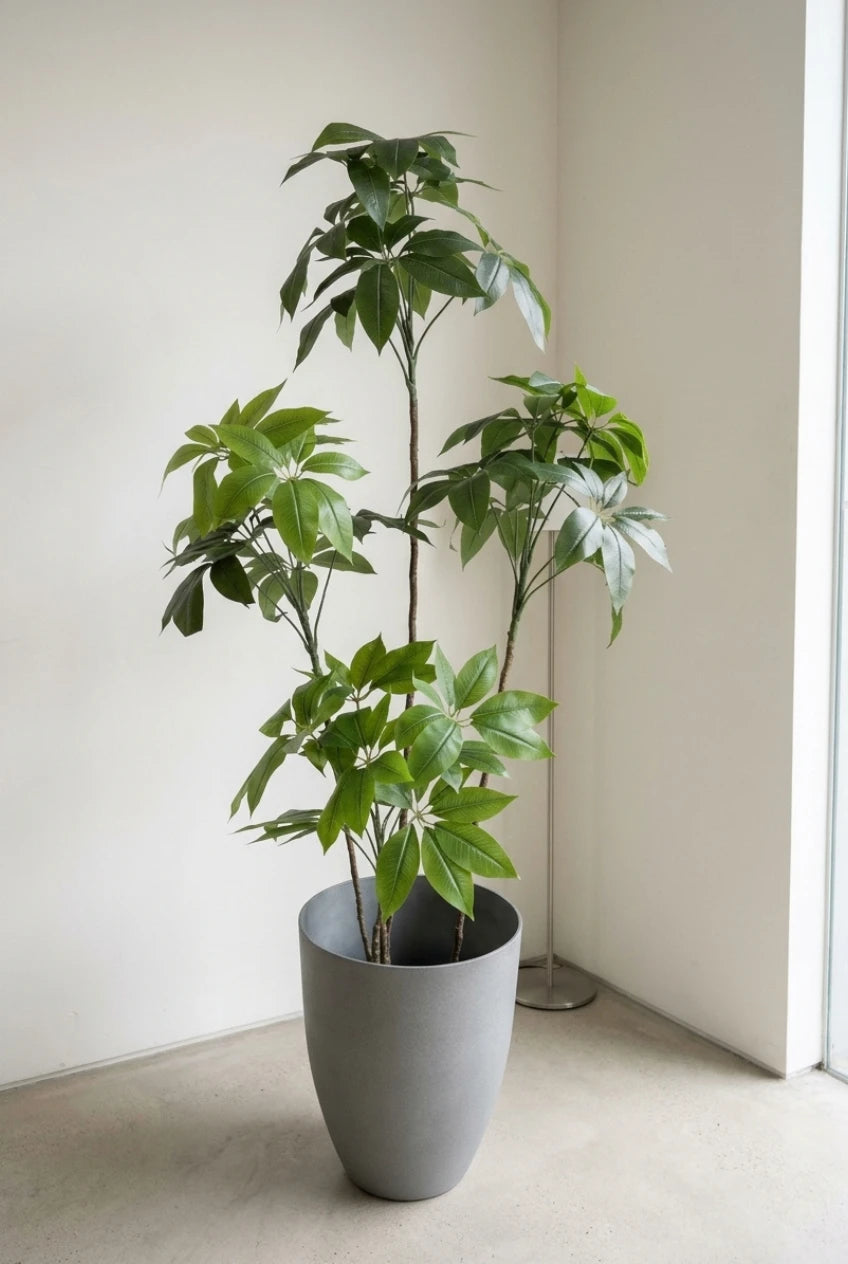 The Atelier Umbrella Tree - 6ft