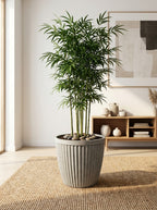 Soren Ribbed Misty Grey Planter