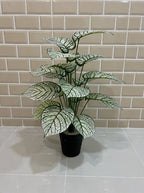 High Quality Small Faux Plants