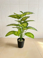 High Quality Small Faux Plants