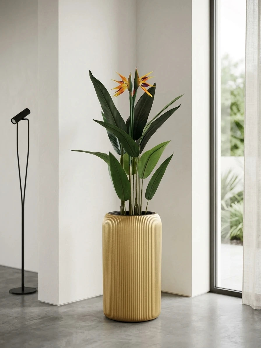 The Atrium Crest Bird of Paradise
