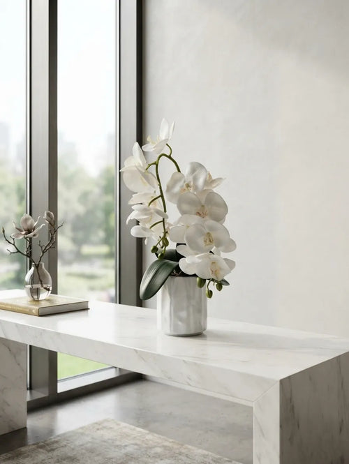 White Phalaenopsis in Fluted Ceramic