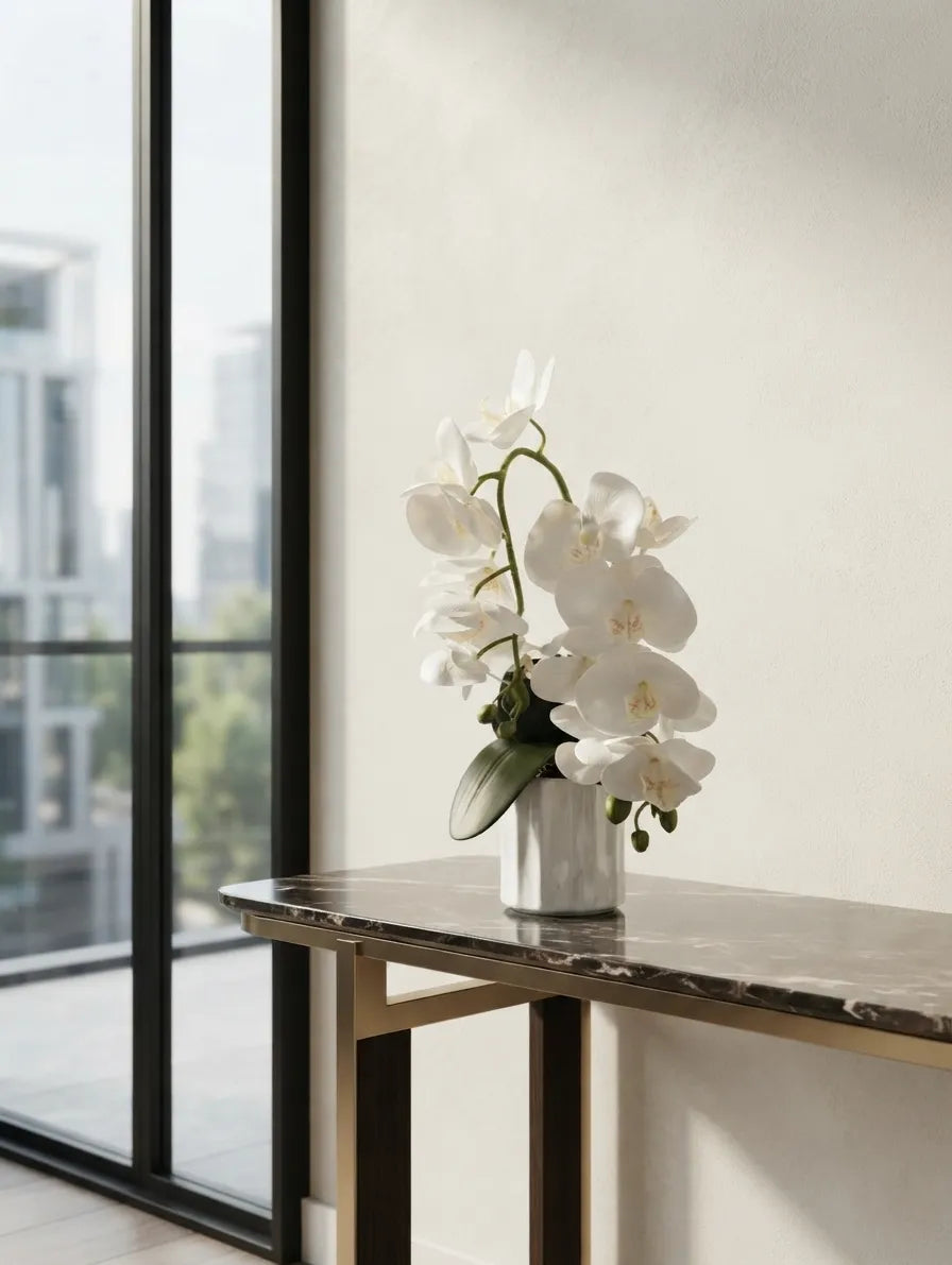 White Phalaenopsis in Fluted Ceramic
