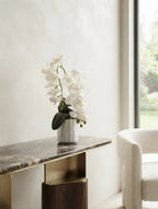White Phalaenopsis in Fluted Ceramic