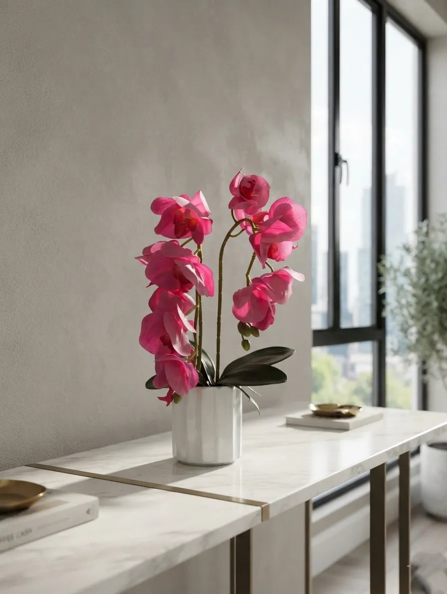 Pink Phalaenopsis in Fluted Ceramic