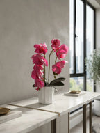 Pink Phalaenopsis in Fluted Ceramic