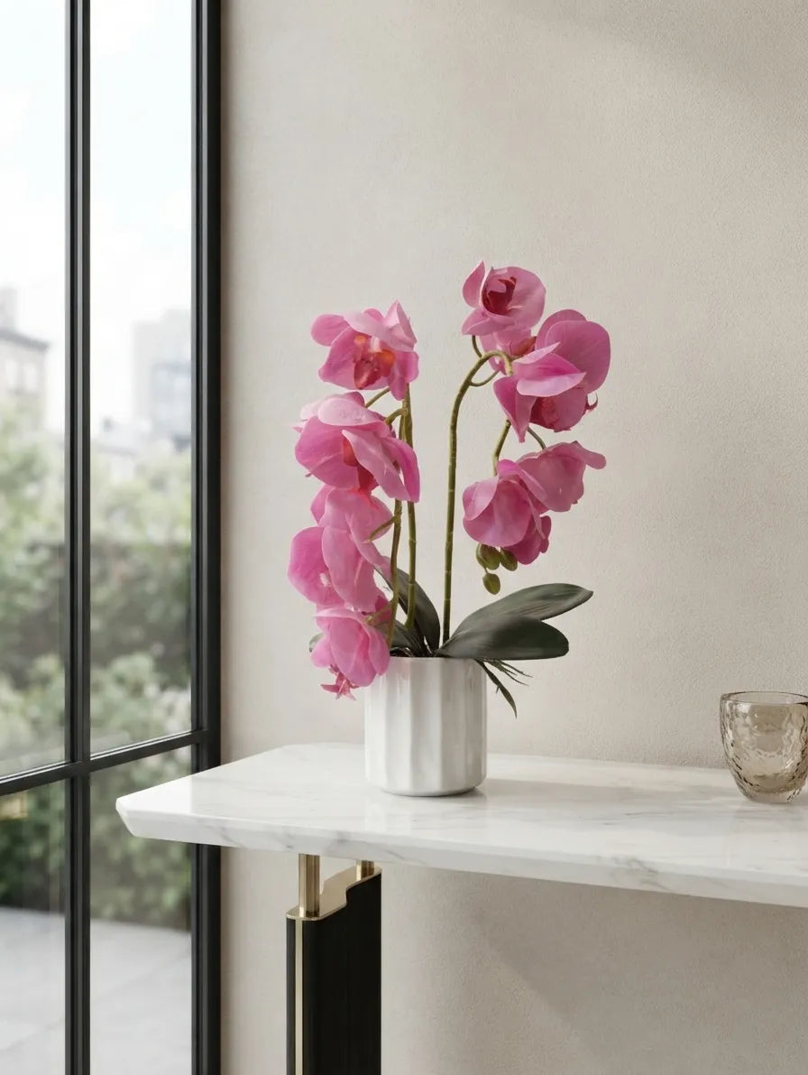 Pink Phalaenopsis in Fluted Ceramic