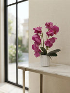 Pink Phalaenopsis in Fluted Ceramic