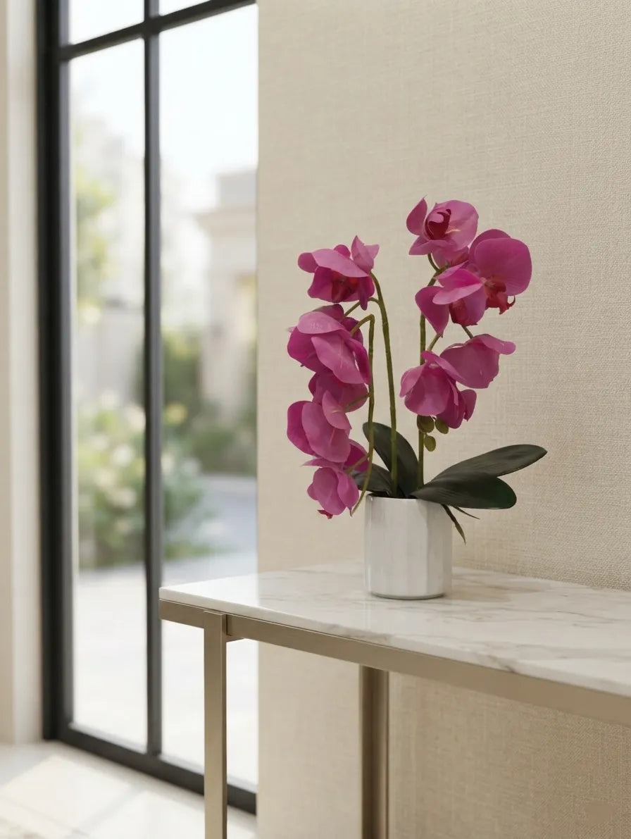 Pink Phalaenopsis in Fluted Ceramic