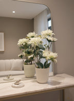 Aura White Orchid Arrangement