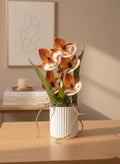 Terracotta Orchid Bloom
