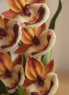 Terracotta Orchid Bloom