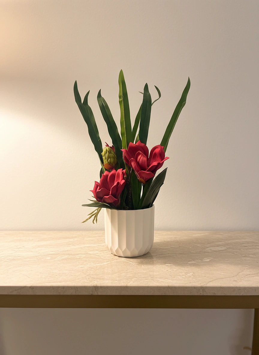Red Magnolia Orchid Arrangement