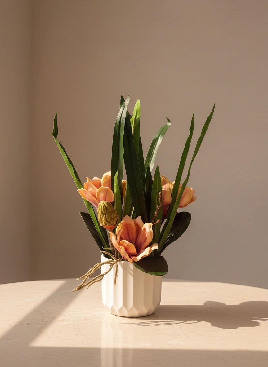 The Serene Peach Magnolia