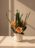 The Serene Peach Magnolia