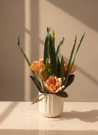 The Serene Peach Magnolia