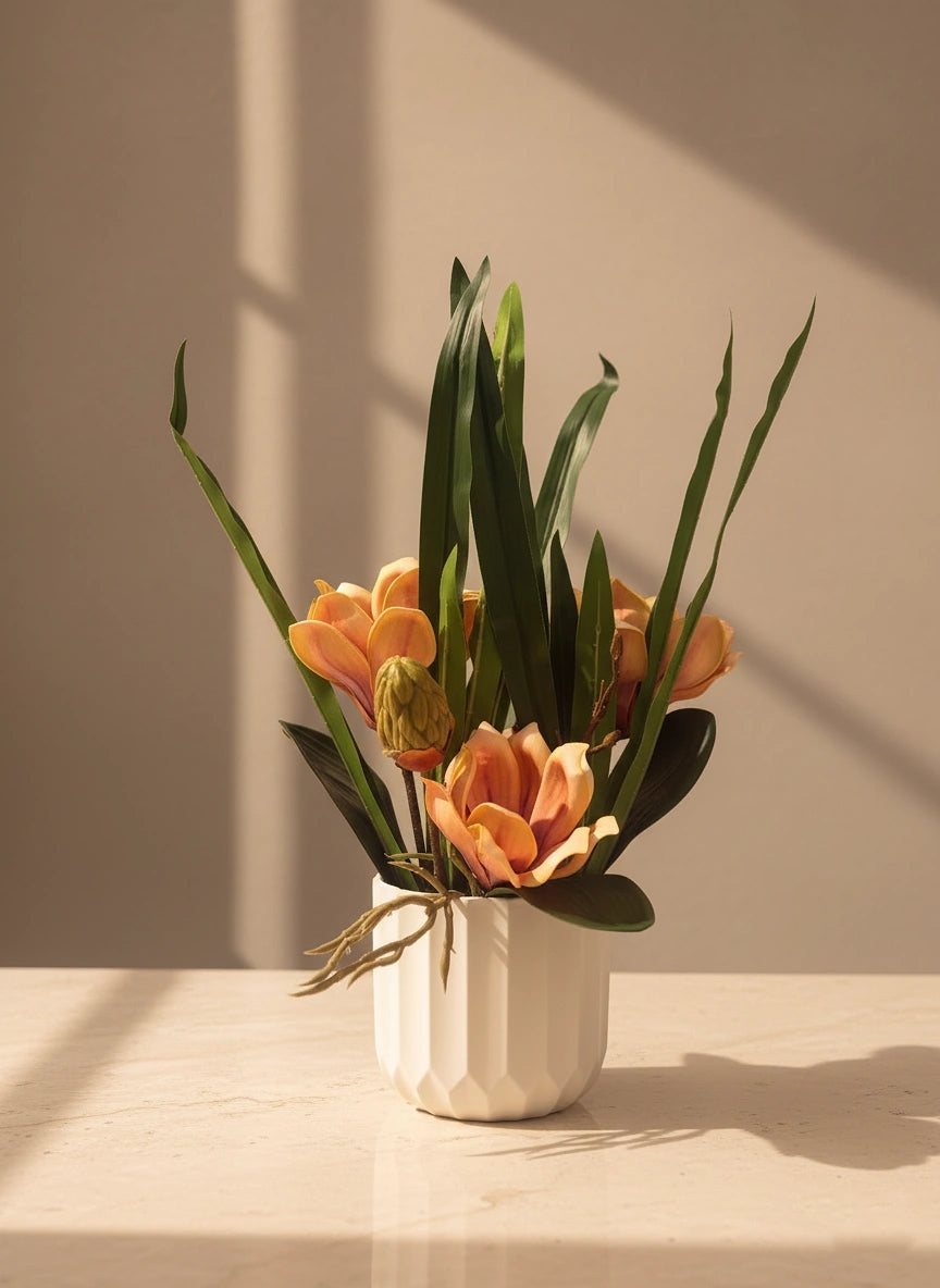 The Serene Peach Magnolia