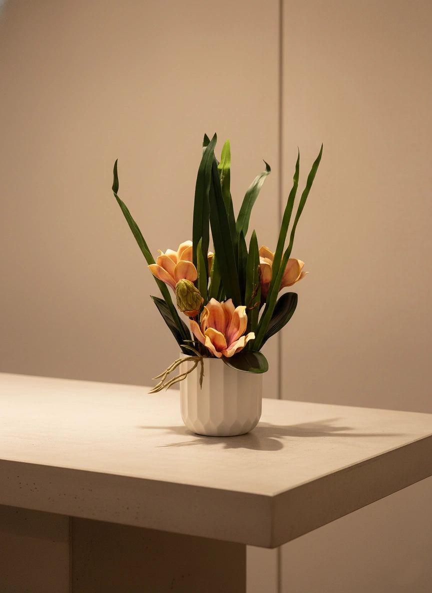 The Serene Peach Magnolia