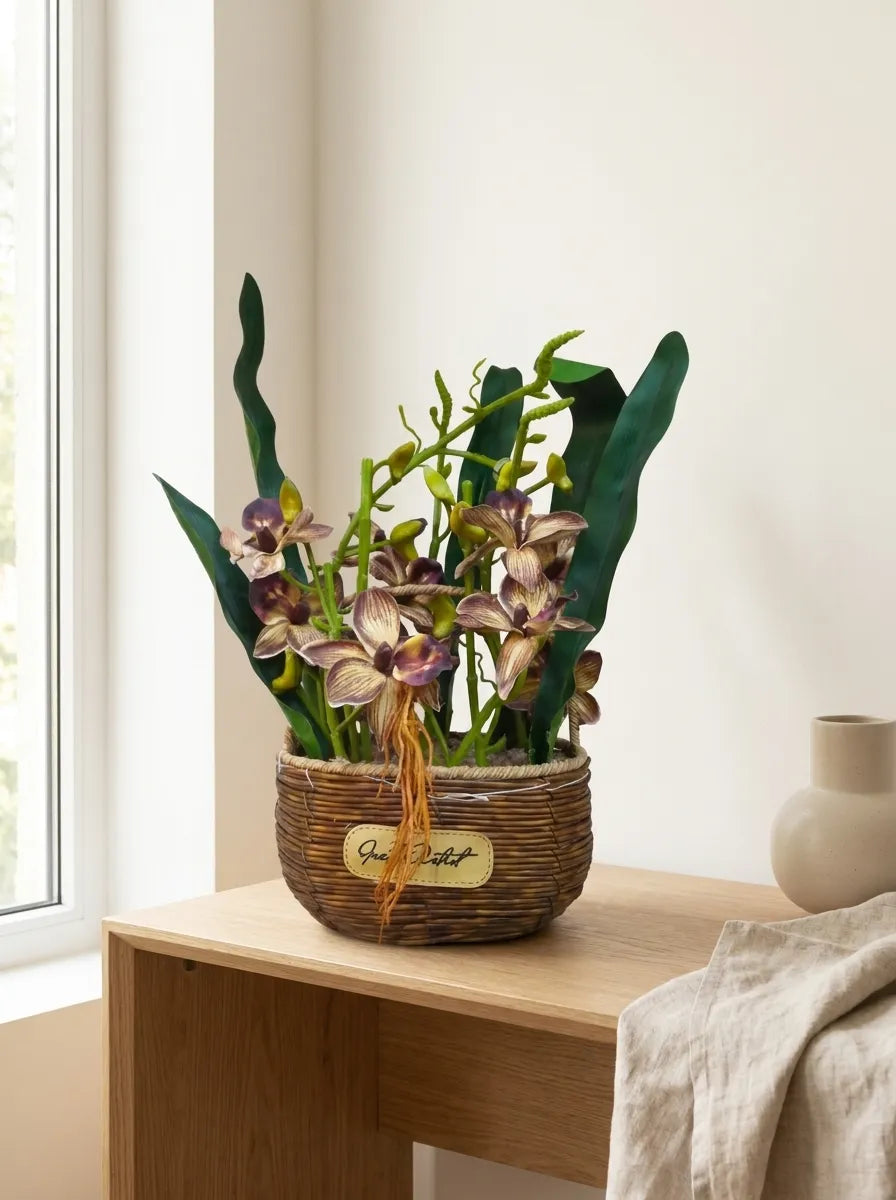 Heritage Cymbidium Orchid Woven Planter