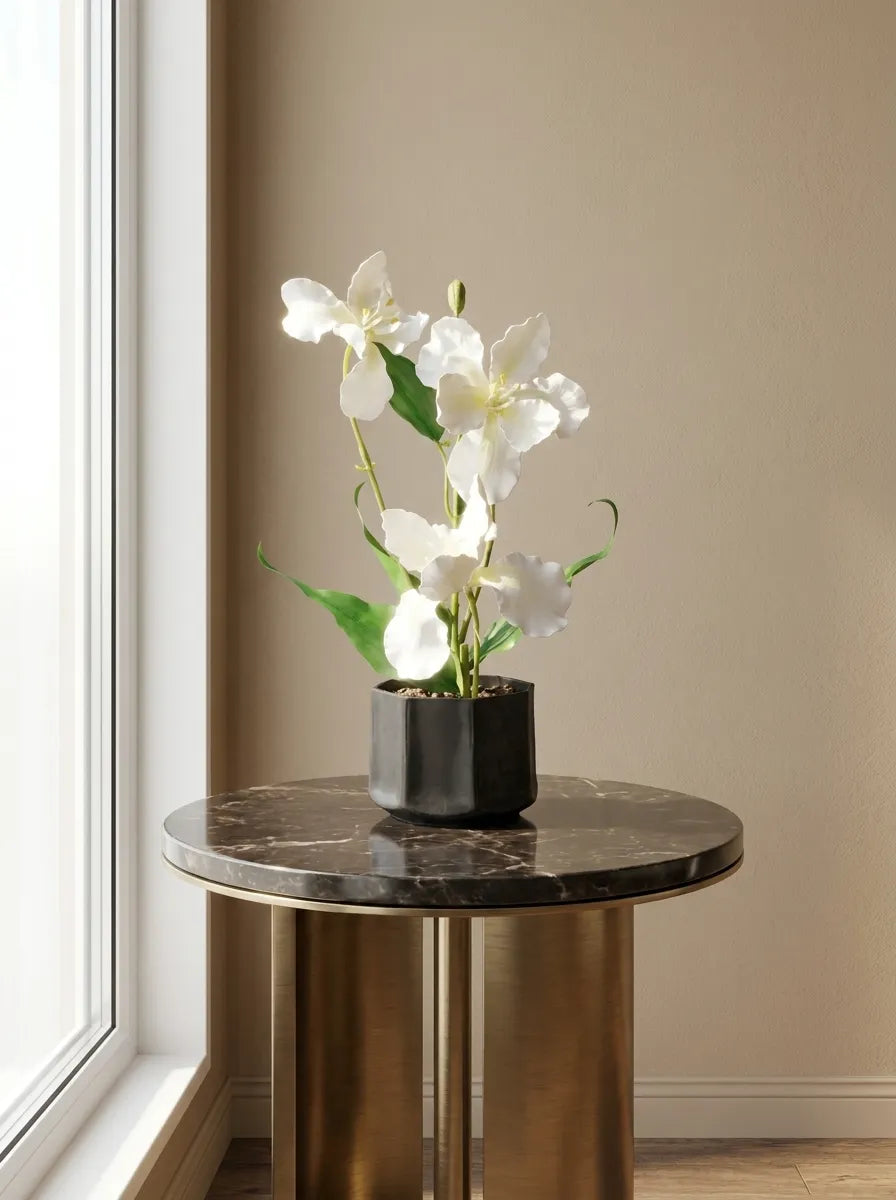 Ivory Grace Orchid