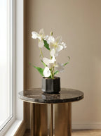 Ivory Grace Orchid
