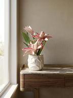 Blush Muse Orchid