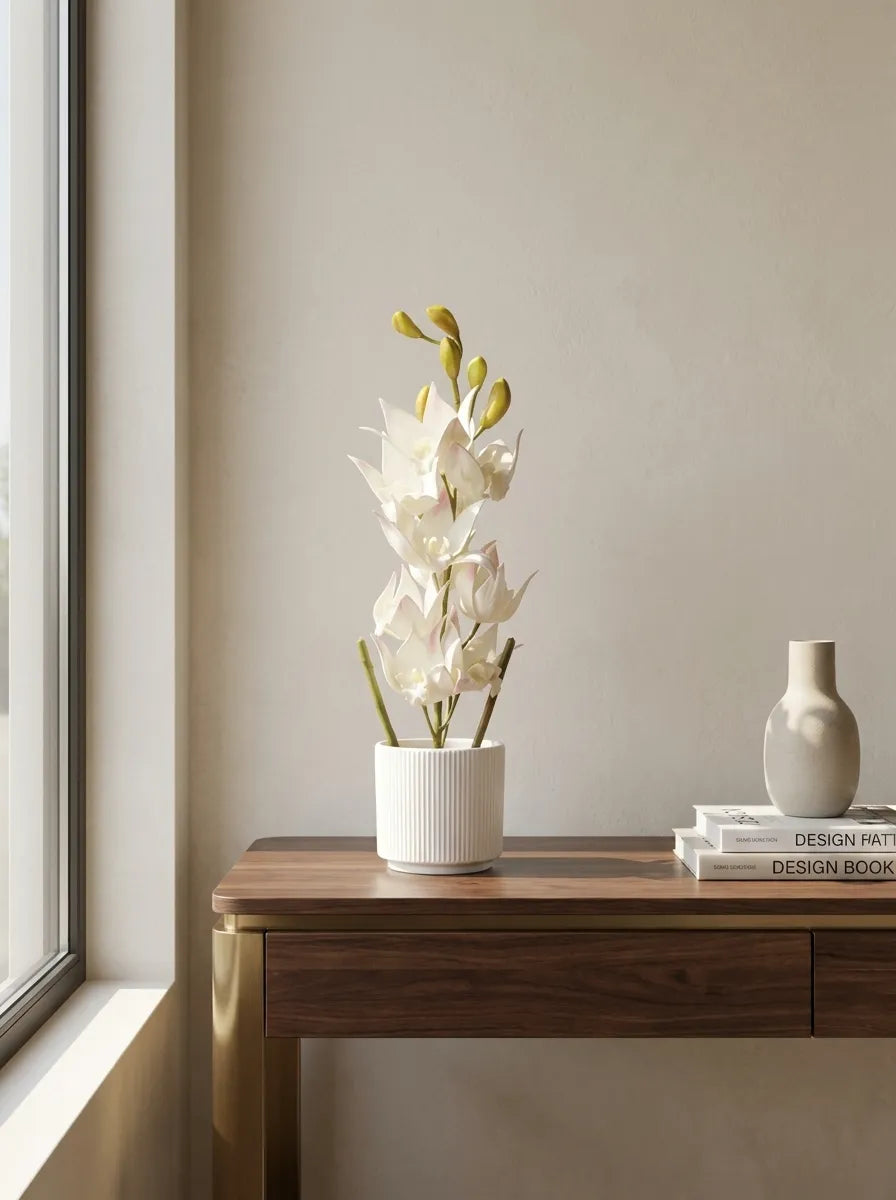 Celeste Bloom Orchid