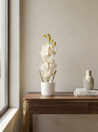 Celeste Bloom Orchid