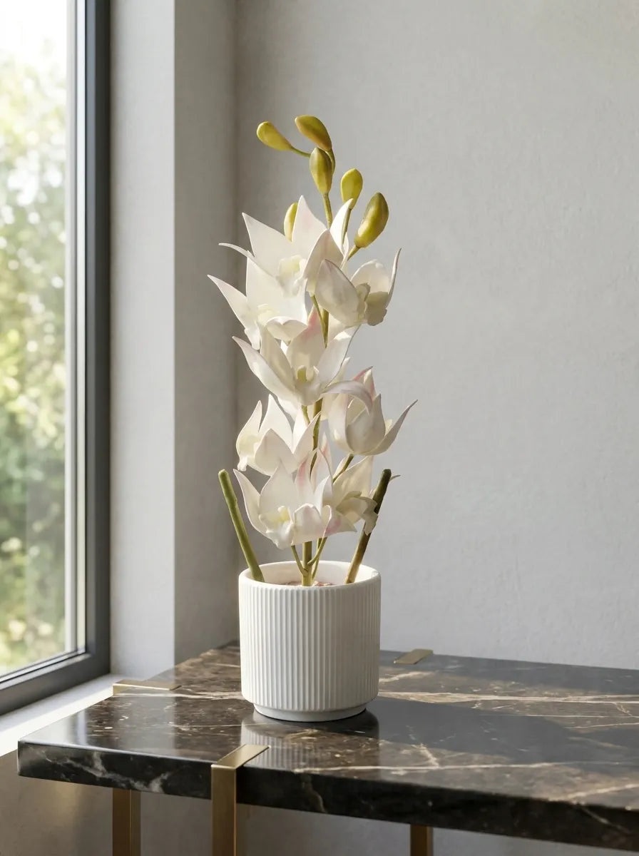 Celeste Bloom Orchid