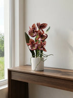 Mocha Luxe Orchid