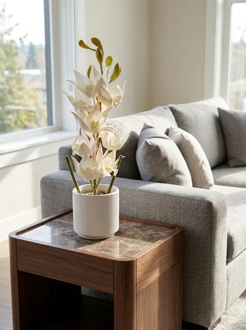Celeste Bloom Orchid