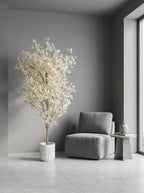 The Highland Cloud Blossom Tree - 6.5ft
