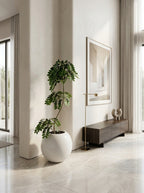The Everfresh Orb Tree - 4ft