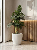 The Solstice Areca Palm Tree - 5.5ft
