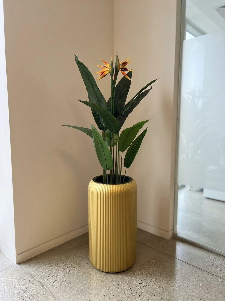 The Atrium Crest Bird of Paradise