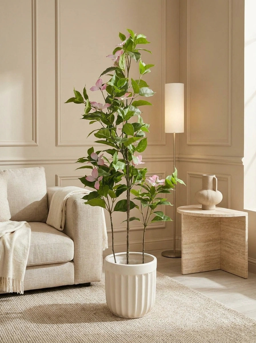 The Sovereign Estate Dogwood - 4ft