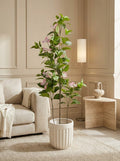 The Sovereign Estate Dogwood - 4ft