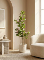 The Sovereign Estate Dogwood - 4ft
