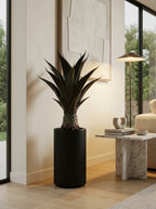 The Sonoran Agave Tree - 3.5ft
