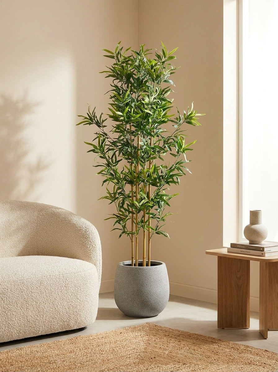 The Sovereign Sanctuary Bamboo - 5.5ft